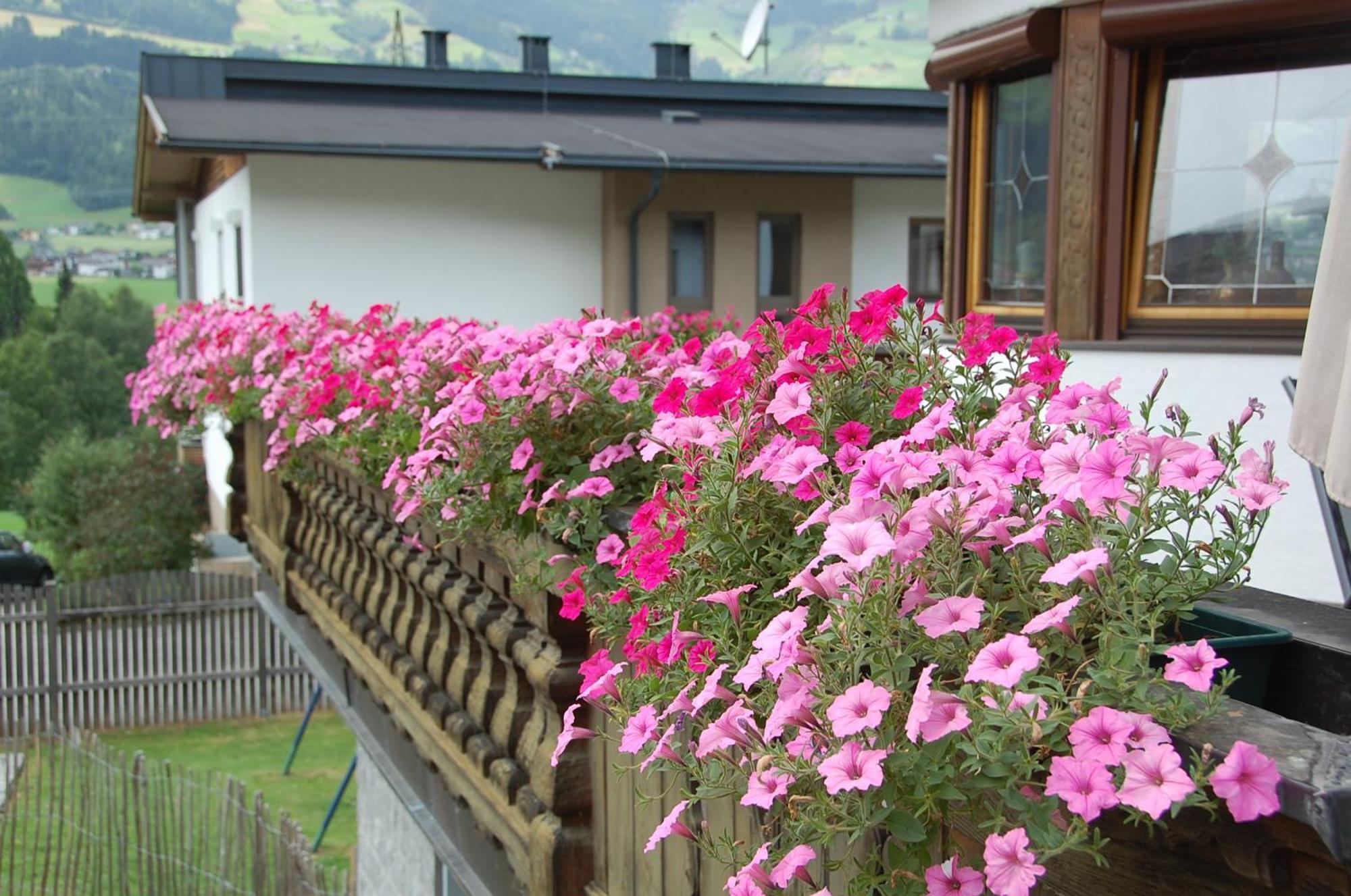 Haus Hart Im Zillertal 6 Personen 빌라 외부 사진